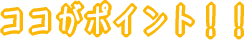 ココがポイント