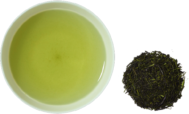 SENCHA